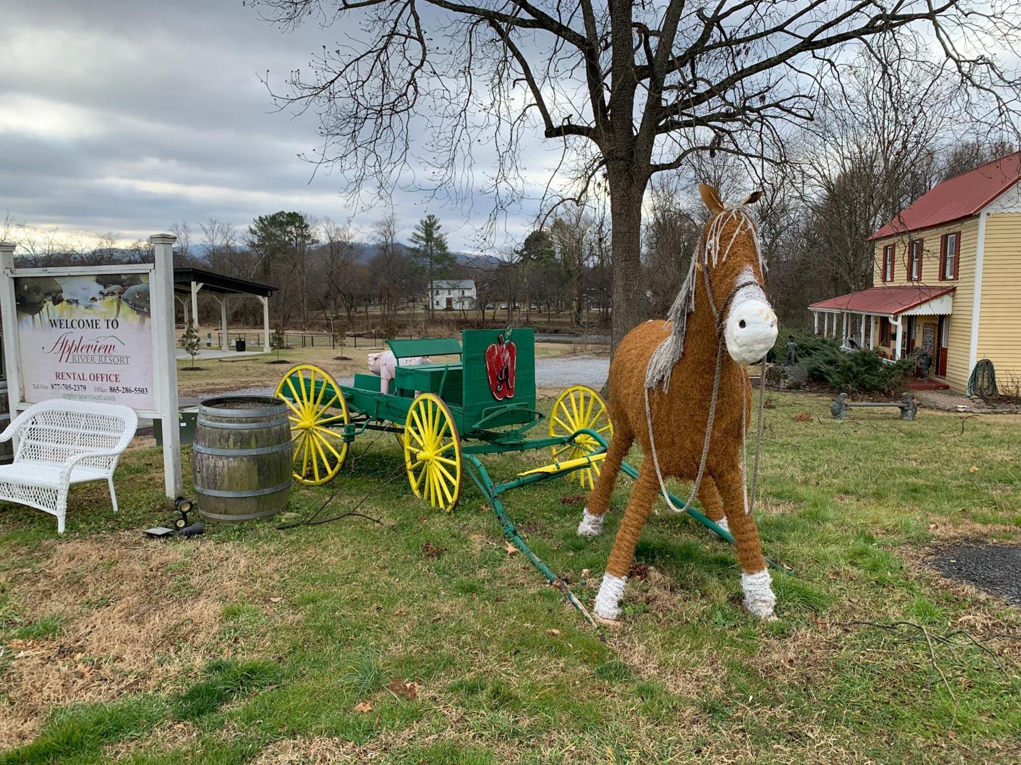 Bill'S On Little Pigeon River Pigeon Forge Exterior foto